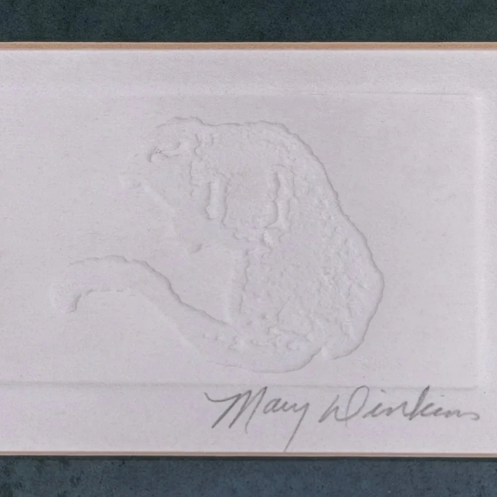 N/A mary dinkins